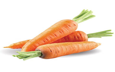 Cà rốt - vị thuốc chữa tiêu chảy ở trẻ em